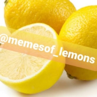 memesof_lemons avatar