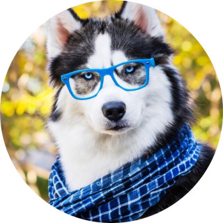 lunaeclipse18 avatar