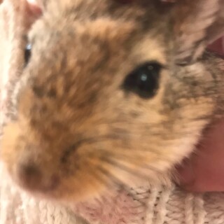 canyourelatalldayl avatar