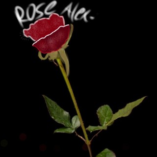 ilovethismemepage avatar