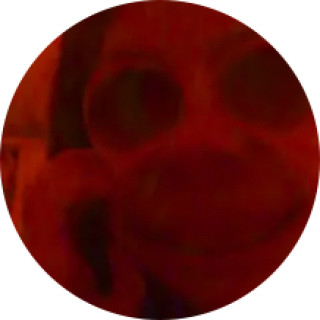 ur_face_be_like avatar