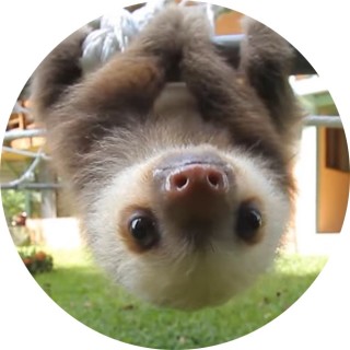 slothlife