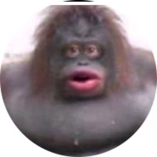 monke_n00bz avatar