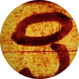 memes_can_fly avatar