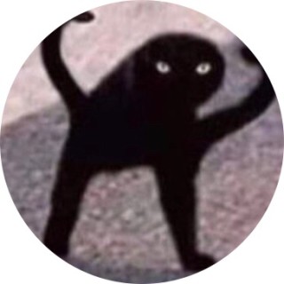 roro_al_sharif avatar