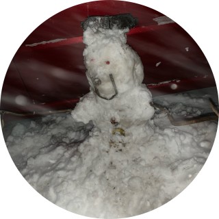 broroncosarebest avatar