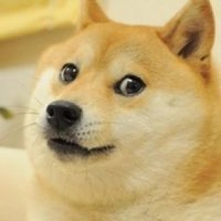 joseloupovadora avatar