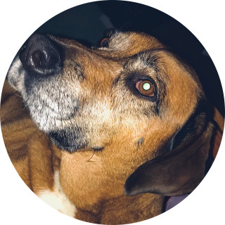 katelyn_smaga avatar