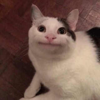 All_fo_a_noun avatar