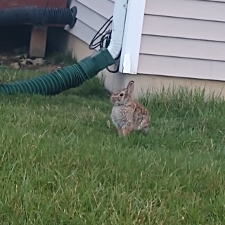 12yearoldmemegod avatar