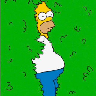 BlackMamba11453 avatar