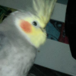 ThomasFromTheFriendGroup avatar