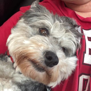 Seanywonkenob1 avatar