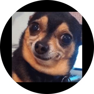 relatable_AF_memes avatar