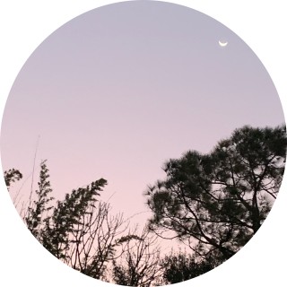 meme_is_life_kmdo avatar