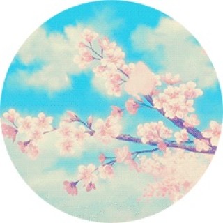 thetenshi.takami avatar