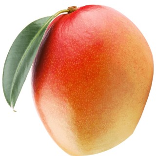 the_amazing_mango avatar