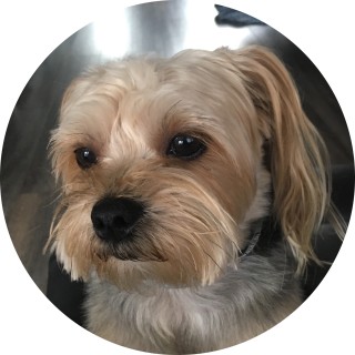 BRAYDENdeBEAST avatar