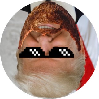 faddypigeon5485 avatar