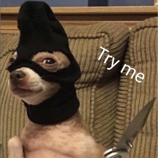 khloethebitch avatar