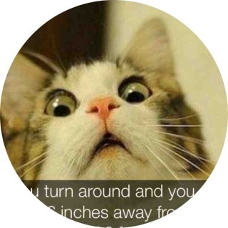 meme_maker2.0 avatar