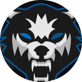 gaming_wolf3yt avatar