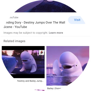 destinyandory153 avatar