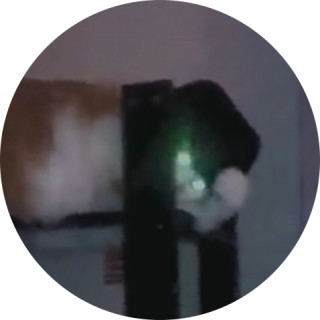 magpiestronkperson avatar