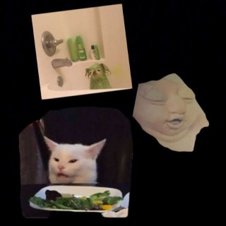 _memesnotfound_ avatar