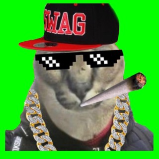 xX_FloppaGod_88 avatar