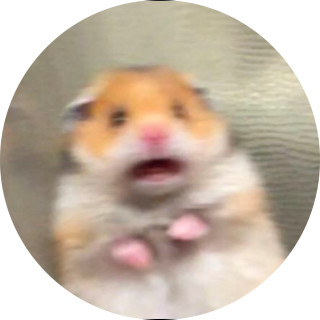 lmaolegendary avatar