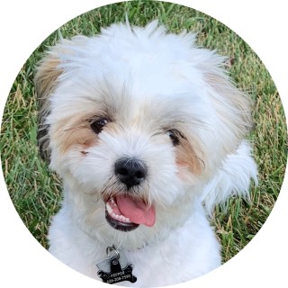 xlowkeymemesx avatar