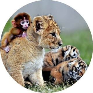 rAndOmAshEllmEmEs_ avatar