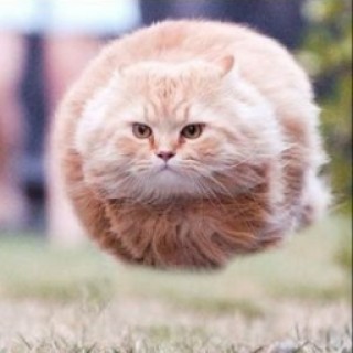 My_boring_memes avatar