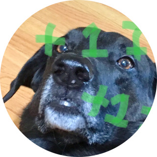 snugglyferret avatar