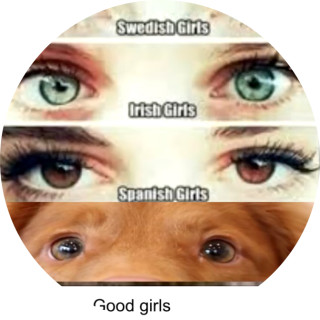 standarddrop414 avatar