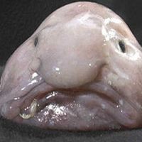 tysonsturner2012 avatar