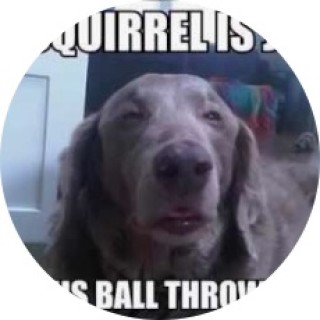 stupid_memes_lol avatar