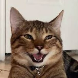 c.a.m.e.r.o.n.x_x avatar