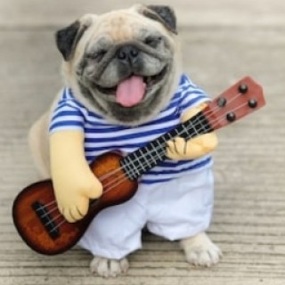 crackheaded_hooman avatar