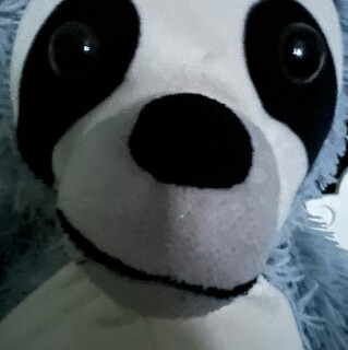 monicaelenacristofor avatar