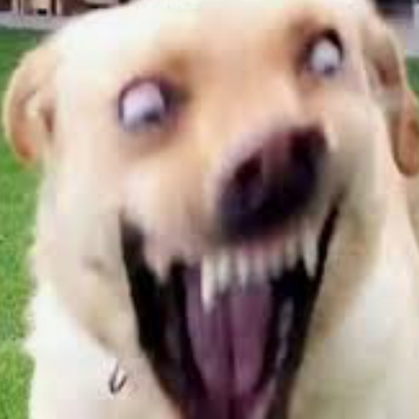 Norahadewithey avatar