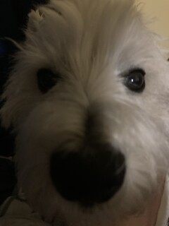 Its_Eclipse_Fur_Real avatar