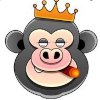 Monkey_King avatar