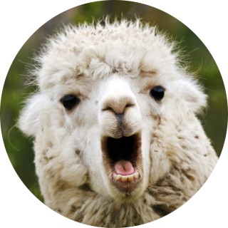 Emily___Ohhhh__yess avatar