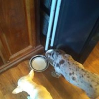 astoncolemumford avatar