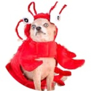 poopymanisbestatit avatar