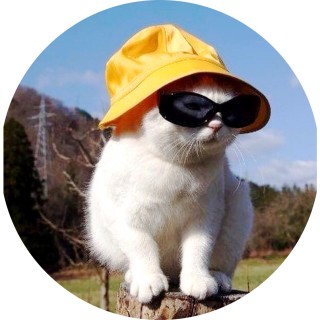 gay_losersclub89 avatar