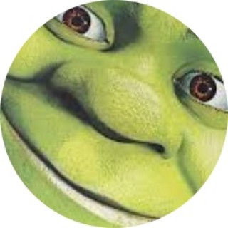 Leo_Makes_Memes4u avatar