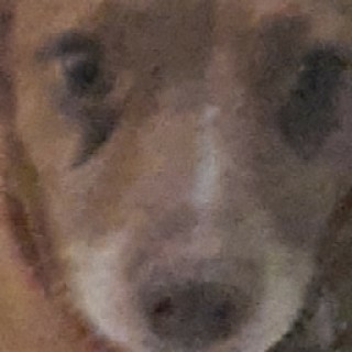 BeansCollaGreens avatar